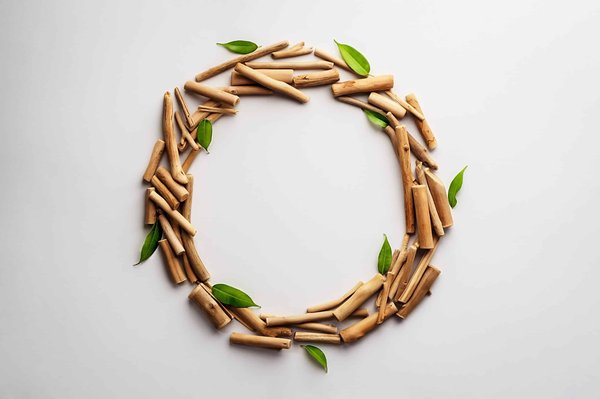 Espèces menacées : les efforts de conservation qui donnent espoir