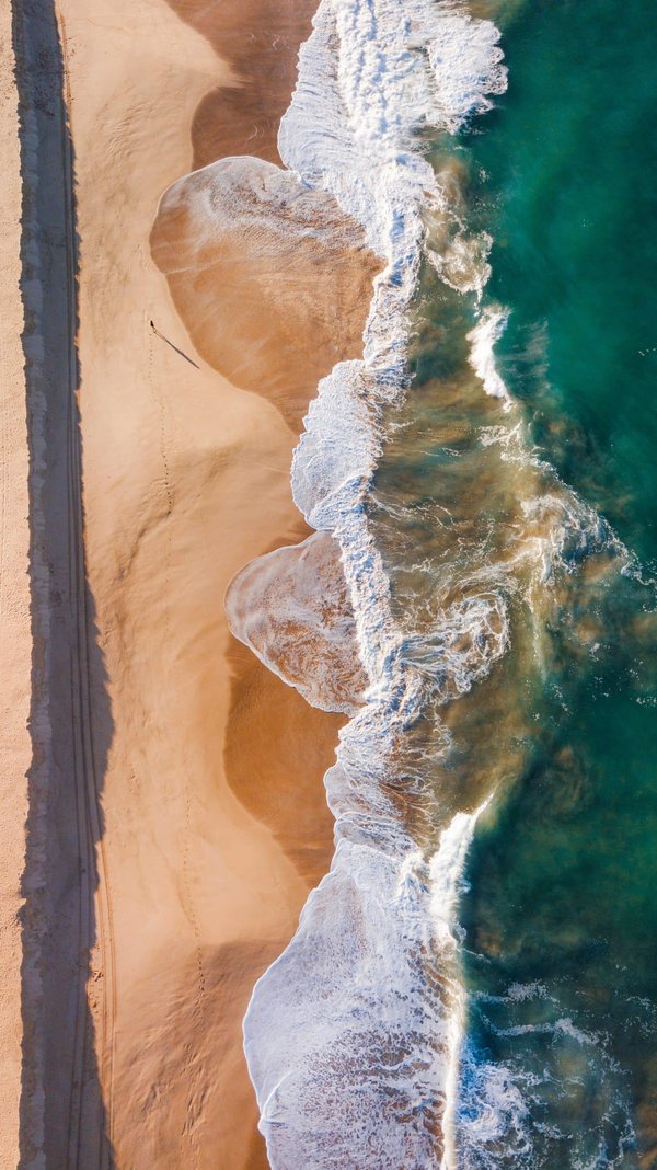 Peut-on apprendre des tours à un lapin nain ?
