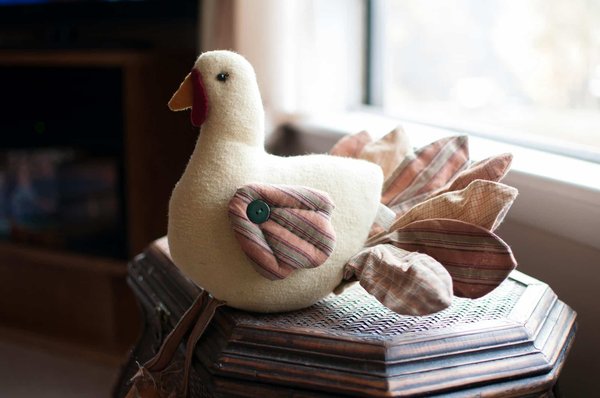 Rencontrez votre spécialiste des peluches animaux